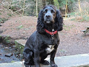 January 2017 Photo 19